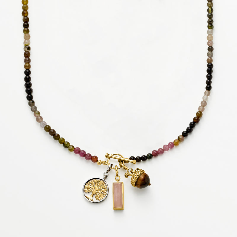 Acorn tiger eye charm with gold setting on multi-color bead necklace