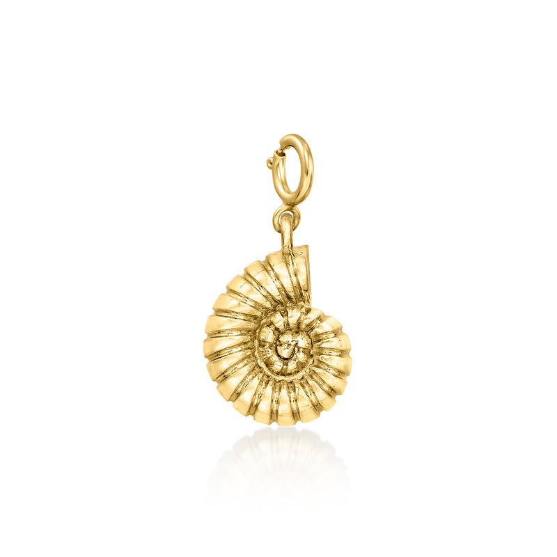 Gold nautilus seashell charm with loop bail, polished sunburst ridges