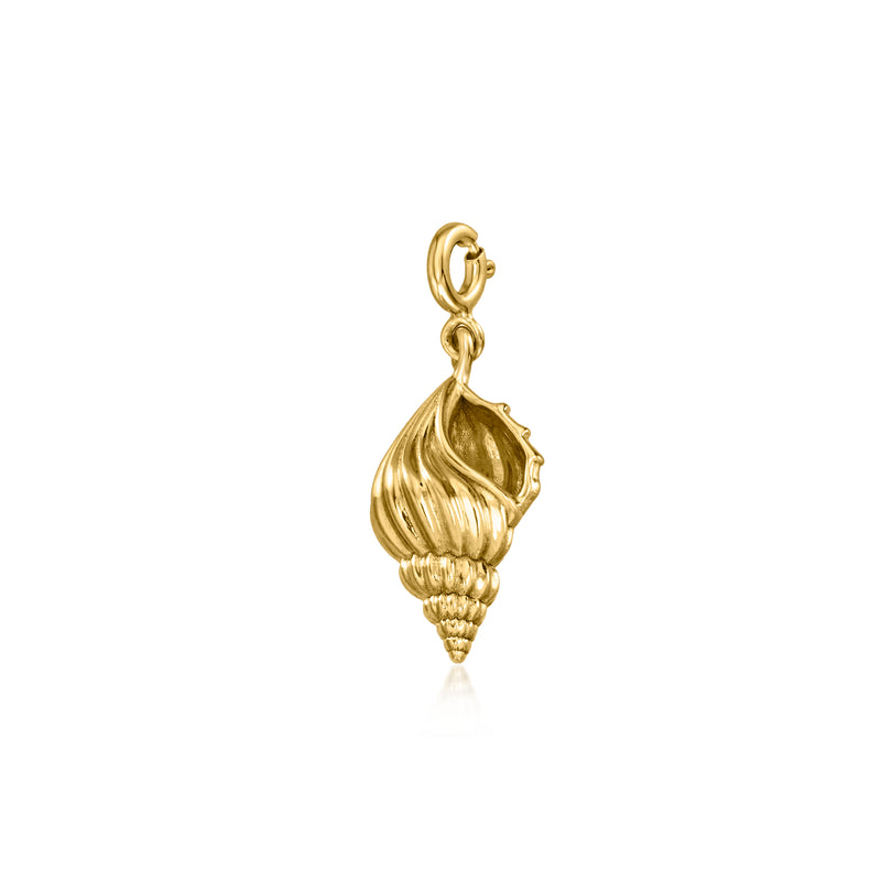 Gold conch shell charm side view with scalloped shell ridges and bale loop
