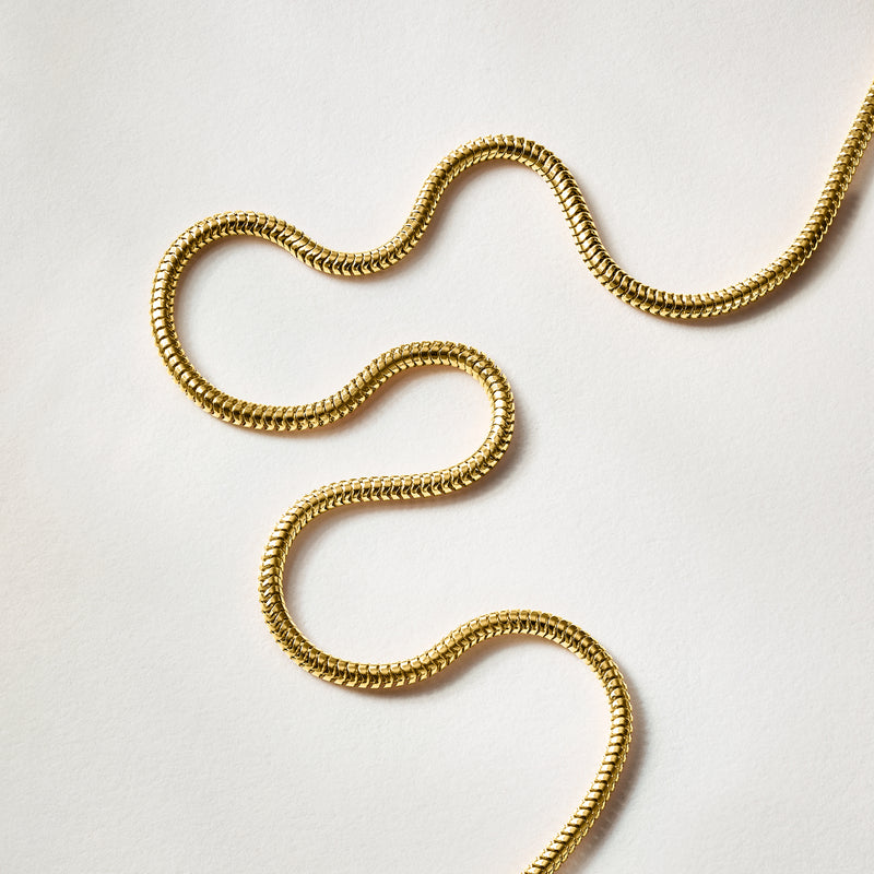 Gold snake-chain necklace laid out in a wavy coil