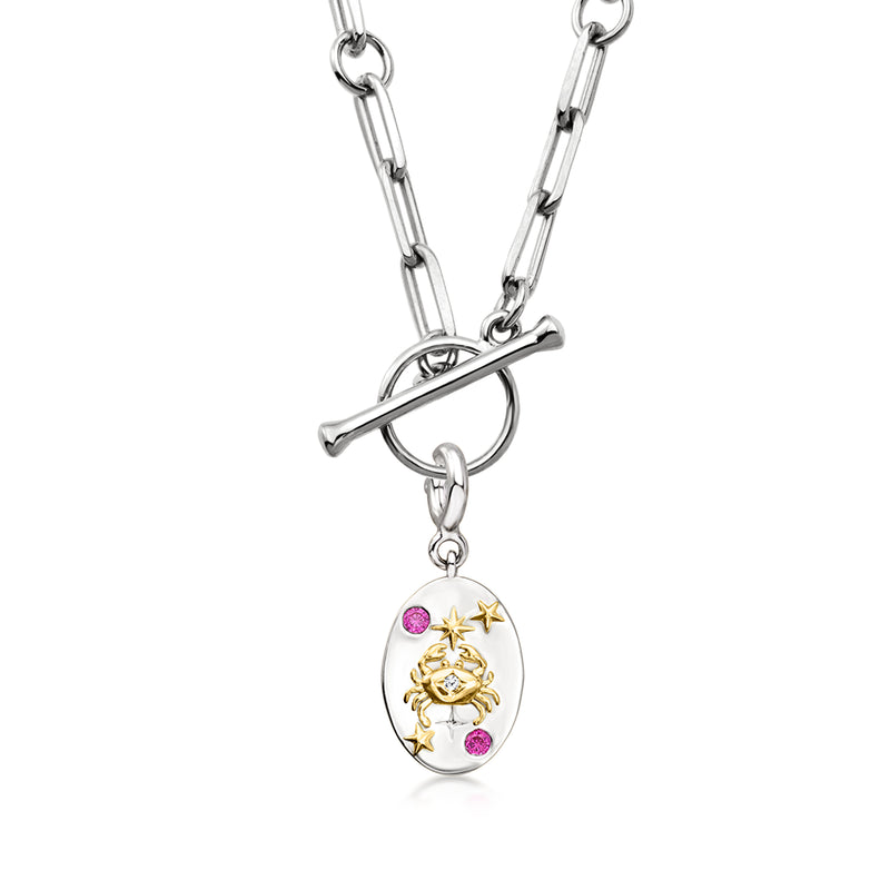 Silver-tone chain necklace with hanging oval zodiac charm, purple gemstones, and star accents