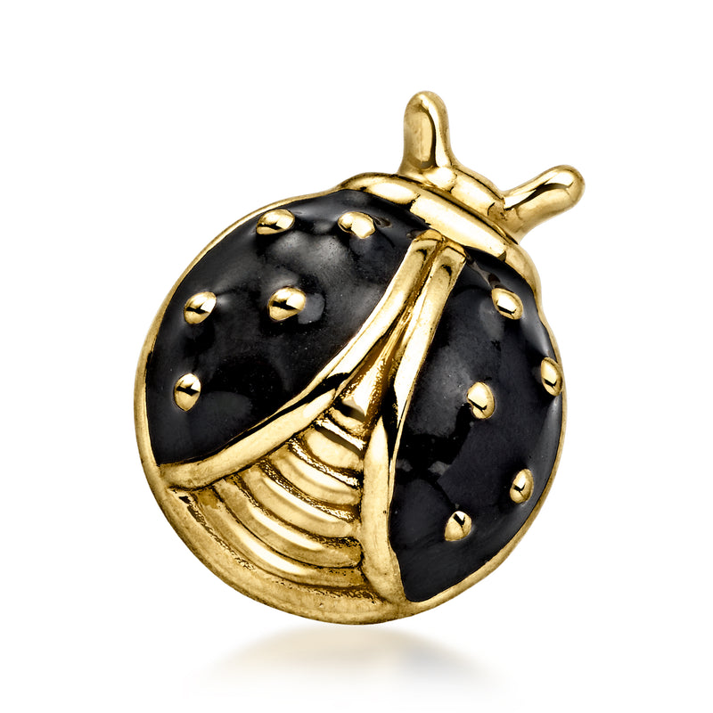 Black enamel beetle pin with 14kt yellow gold details and studded dots