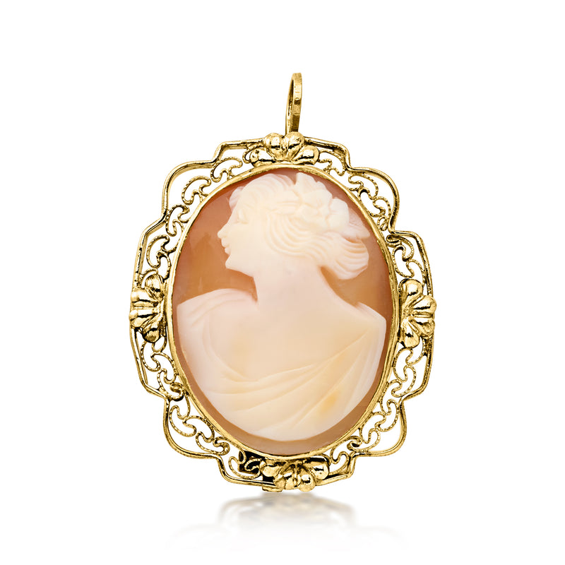 C. 1970 Vintage Brown Shell Cameo Gold-Filled Pin/Pendant