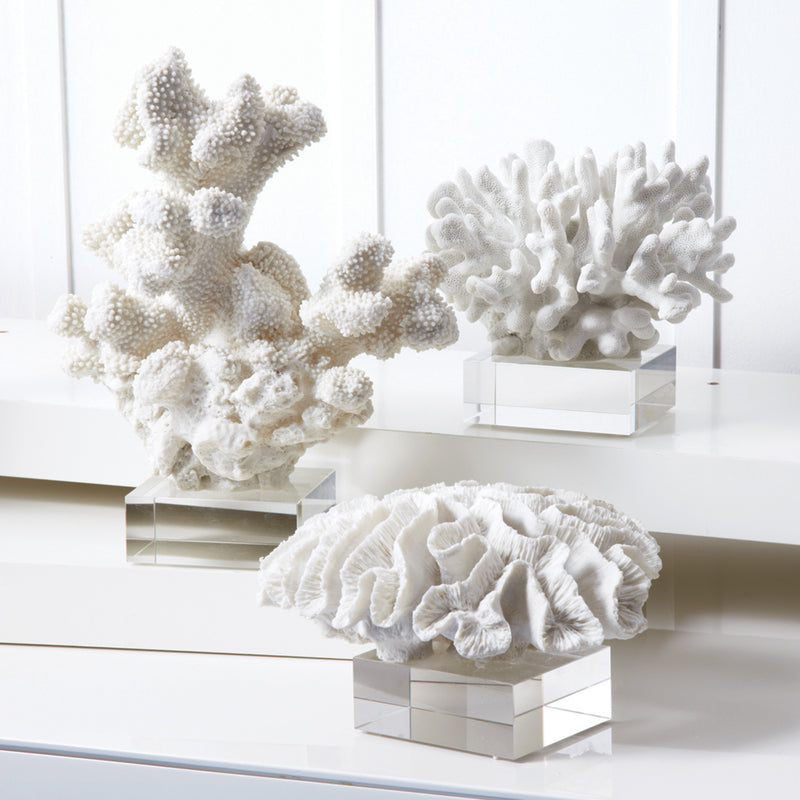 Set of three white coral sculptures on clear glass block stands