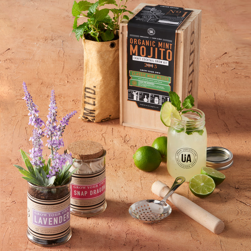 Grow-your-own florals kit with seed packets, mint mojo label, and planting tools