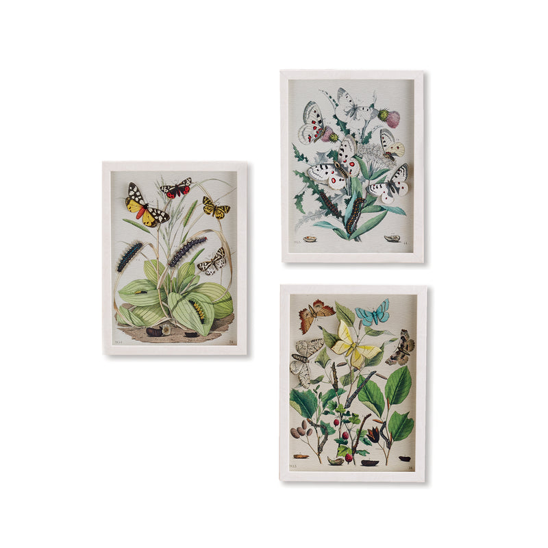 Set of 3 butterfly botanical collage wall art prints in white square frames