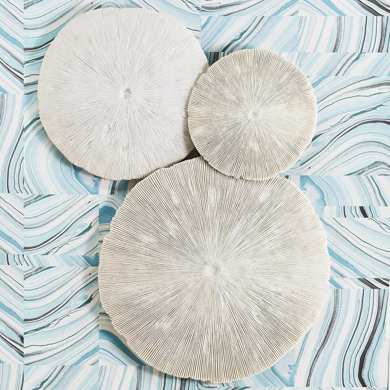 Set of 3 faux coral wall sculptures: three cream round textured discs with ridged starburst