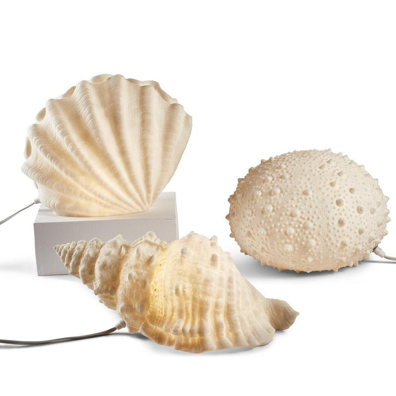 Set of 3 shell-shaped sea life lamps in cream tones, with cords