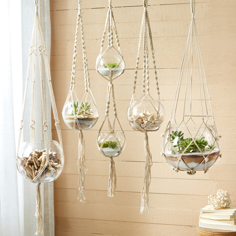Five macrame plant hangers with cotton rope and glass bowls with small plants