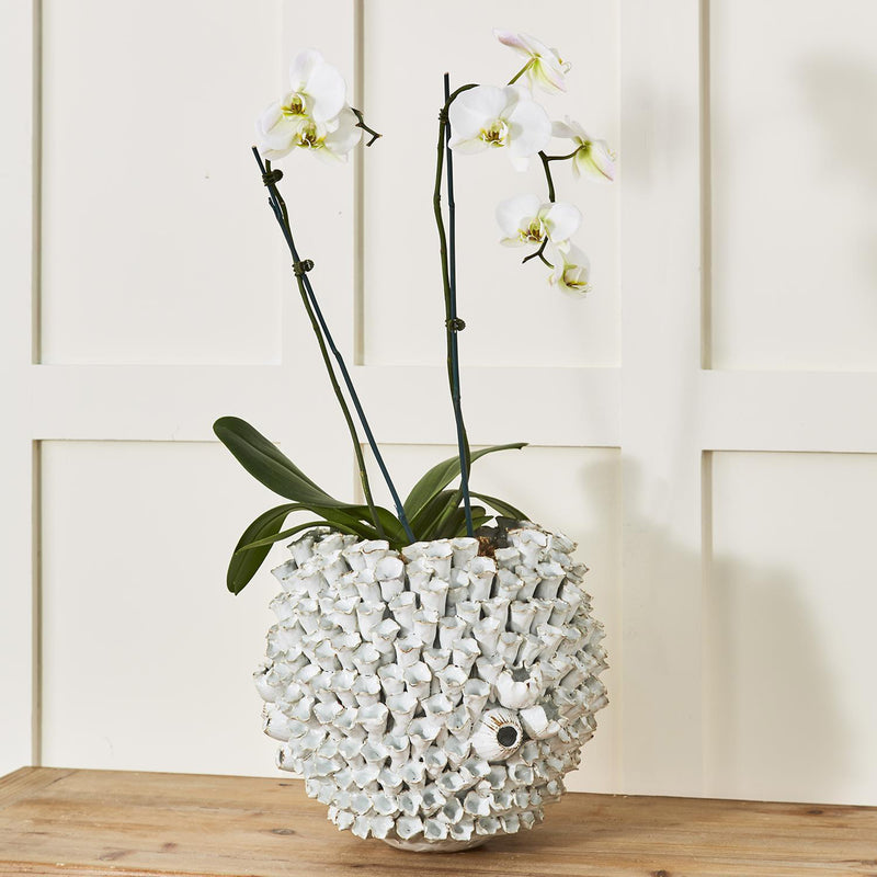 White textured ceramic round vase with barnacle-like bumps and small face detail
