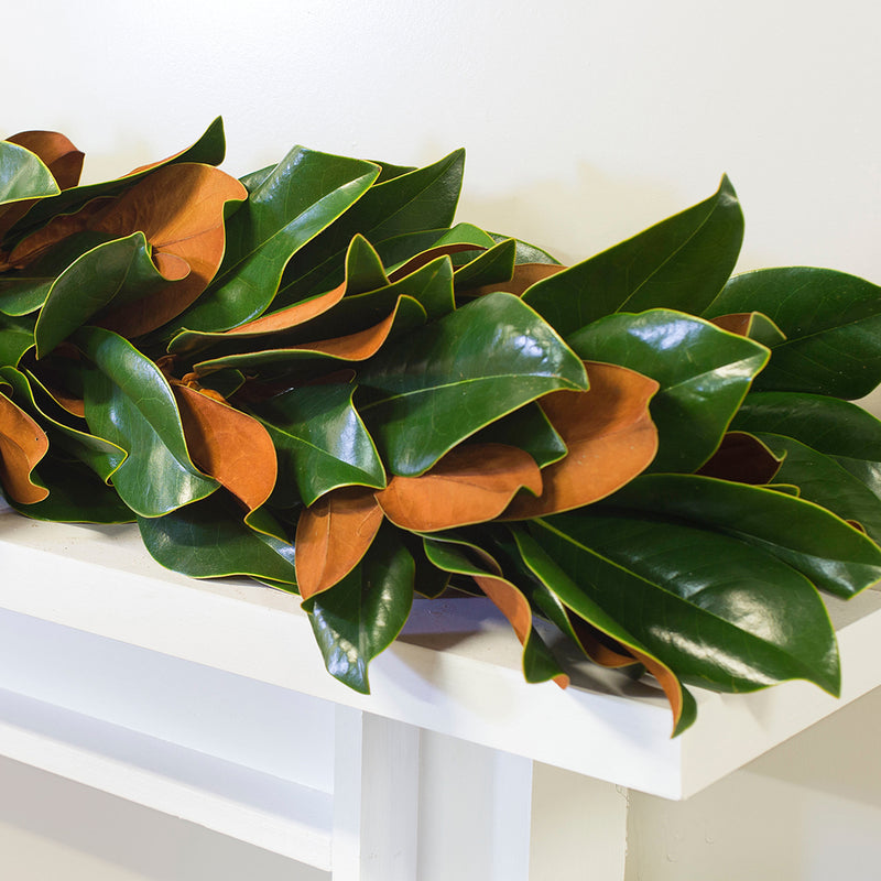 Fresh original magnolia garland with dark green and warm orange/brown leaves