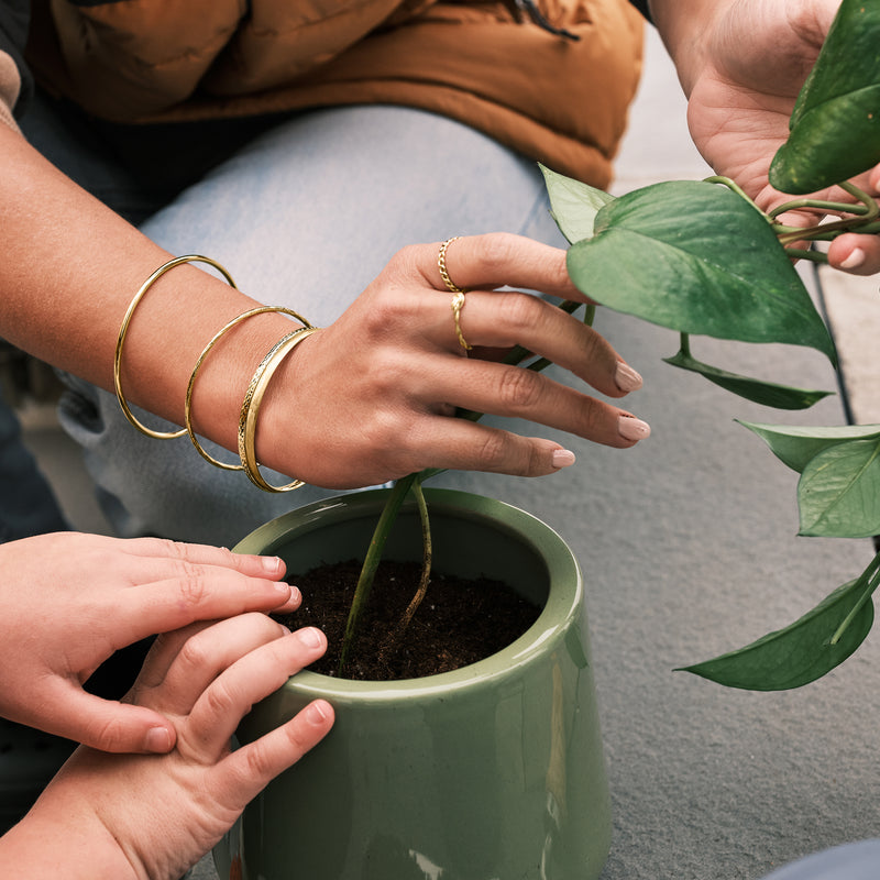 Thin 10kt yellow gold bangle bracelets on wrists while holding plant leaves