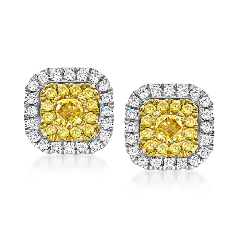 Yellow and white diamond cluster stud earrings in 14kt white gold, round halo