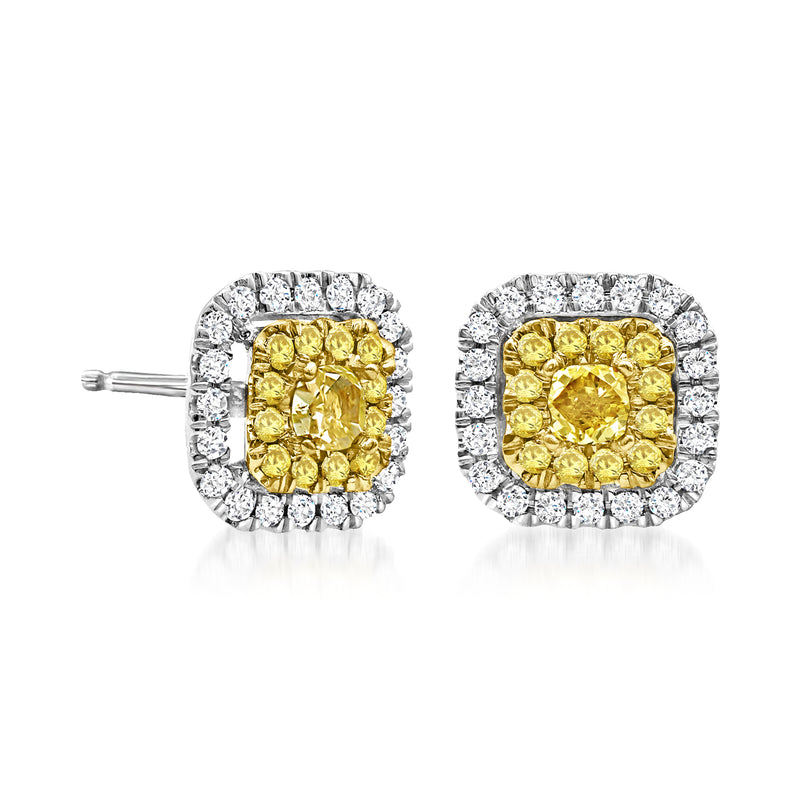 Yellow and white diamond cluster stud earrings with post backs in 14kt white gold