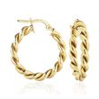 14kt Yellow Gold Spiral Hoop Earrings