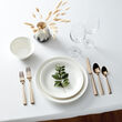 Lenox &quot;Colebrook&quot; Champagne 5-pc. 18/10 Stainless Steel Place Setting