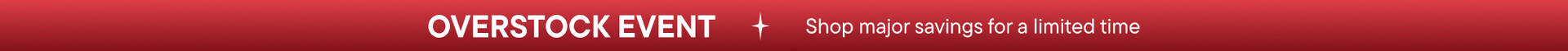Overstock Banner