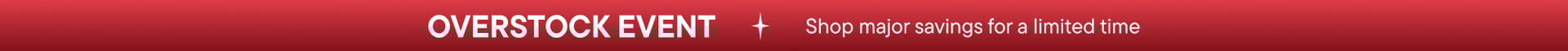Overstock Banner