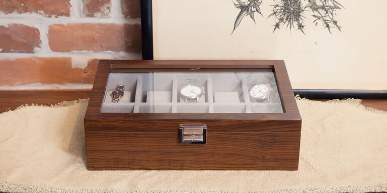 The Watch Collector Guide