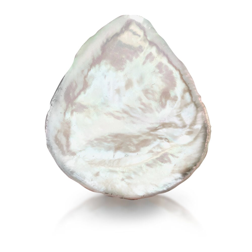 Keshi White Pearl