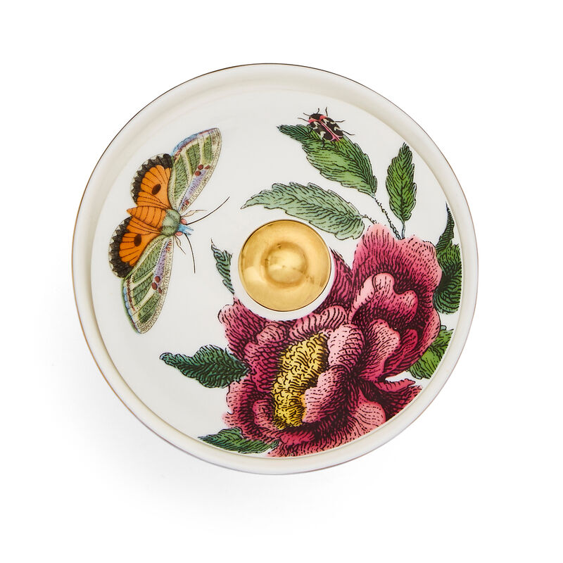 Spode "Creatures of Curiosity" 3-pc. Tea Set image number 10