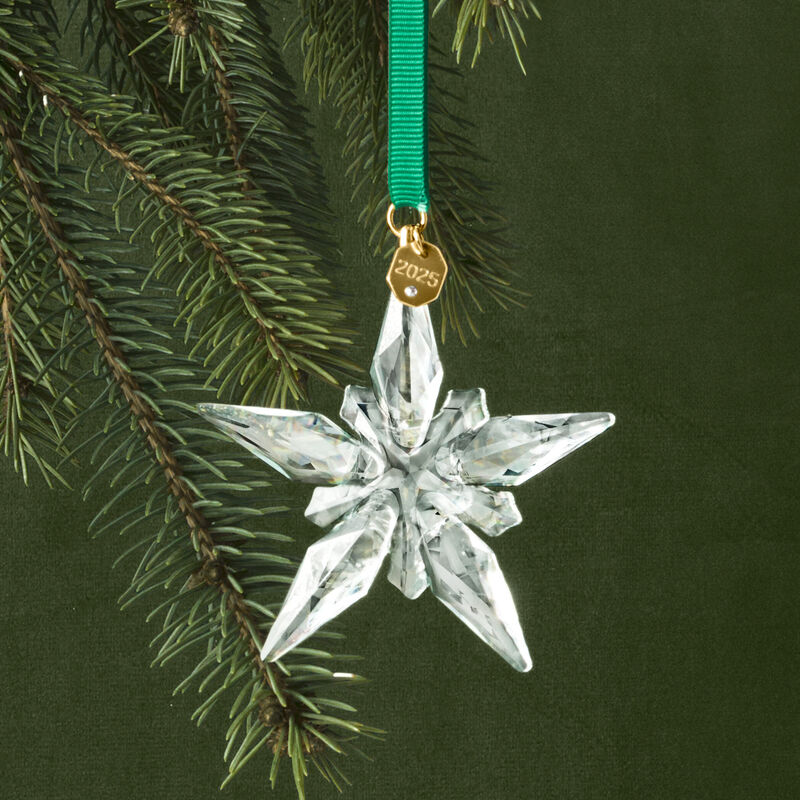 Swarovski Crystal 2025 Annual Snowflake Ornament image number 1