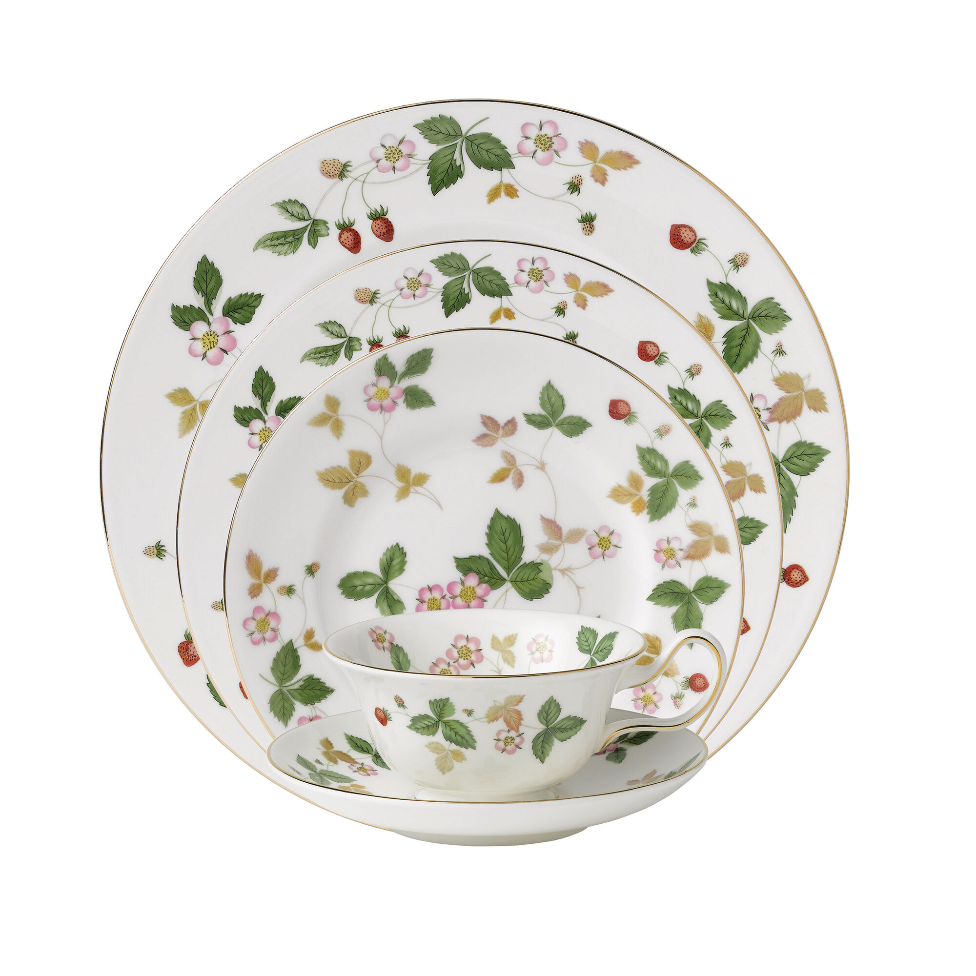 Wild Strawberry 5-Piece Place Setting