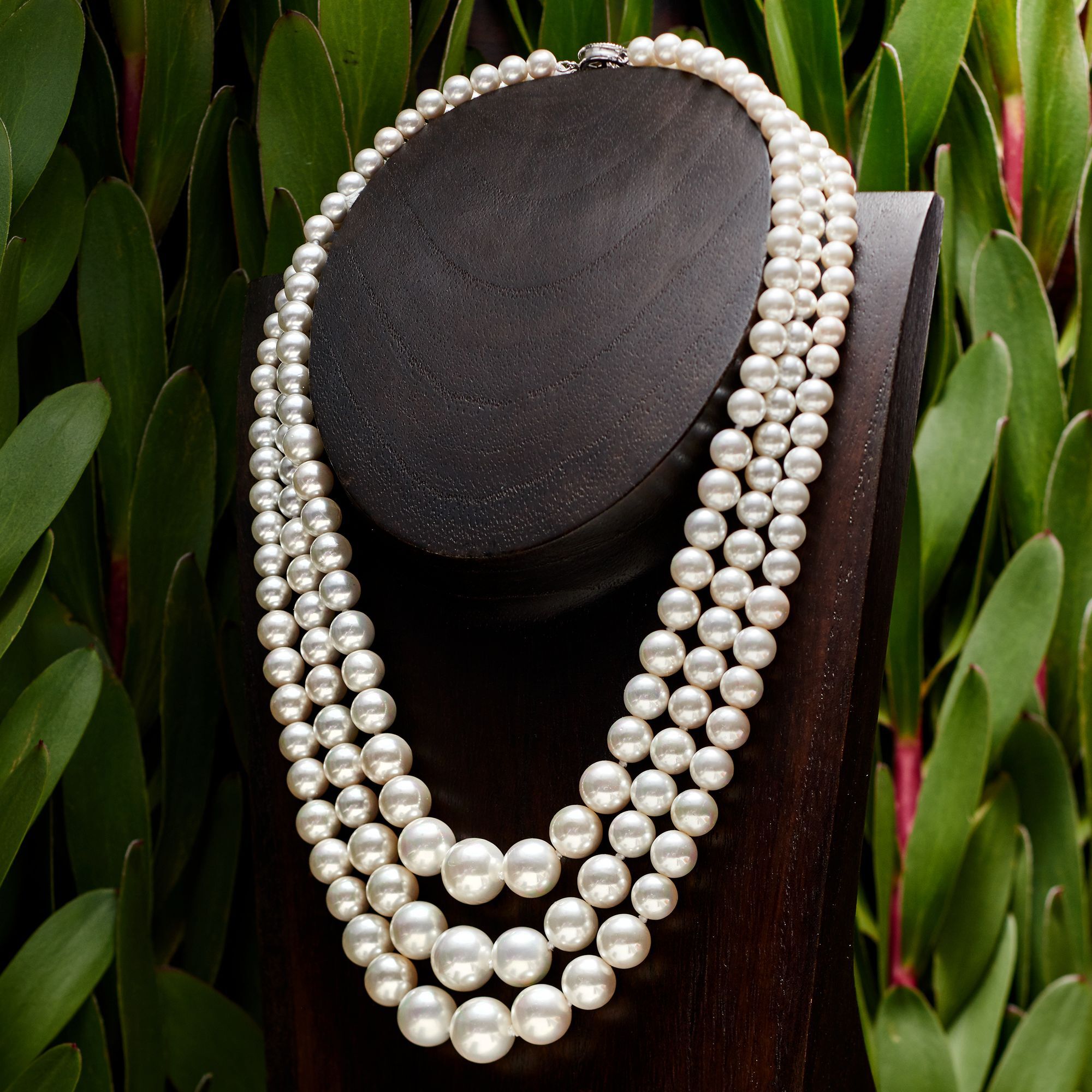 6 12mm Shell Pearl Graduated Three Strand Necklace with Sterling Silver