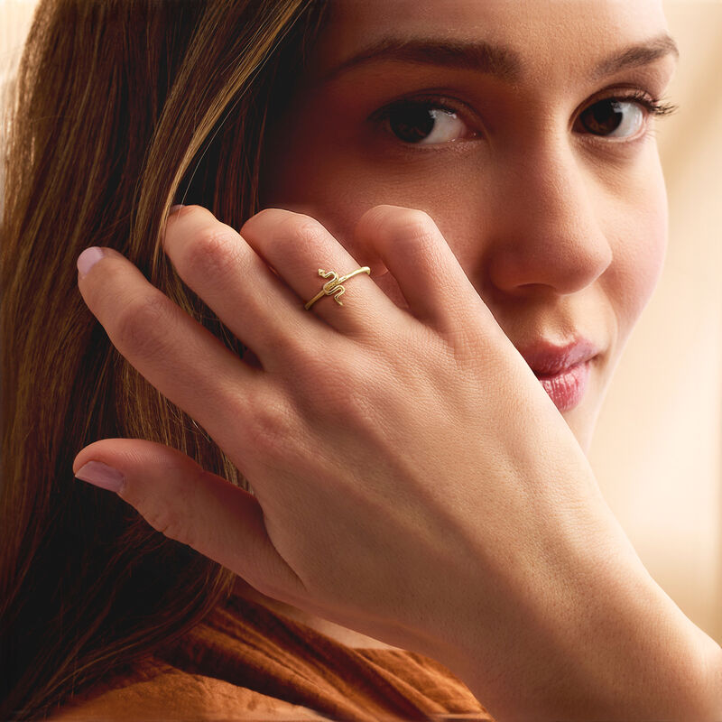 18kt Gold Vermeil Petite Snake Ring image number 1